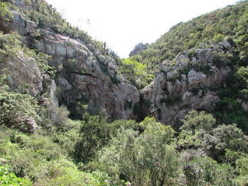 Woodbury Lodge Amakhala Game Reserve Exterior foto